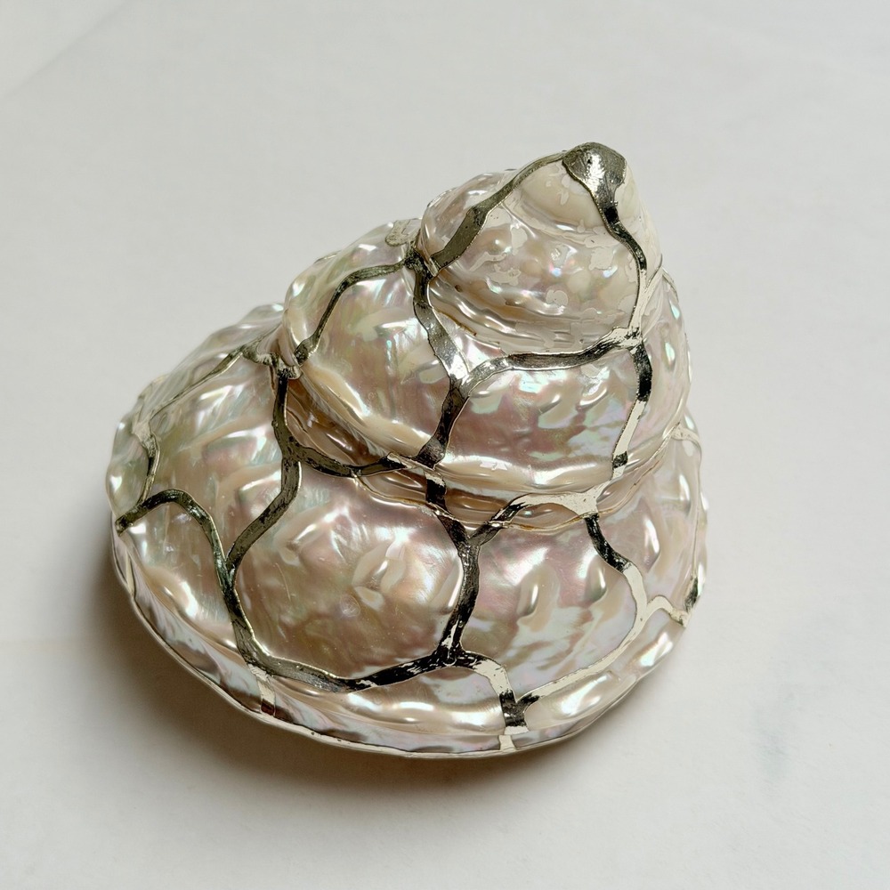Vintage Iridescent Shell with Silver Metal Overlay Decor Gift Beach Nautical